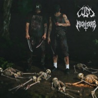 CHOSEN ONES - Single - NIGHTSXRA & COLDY.