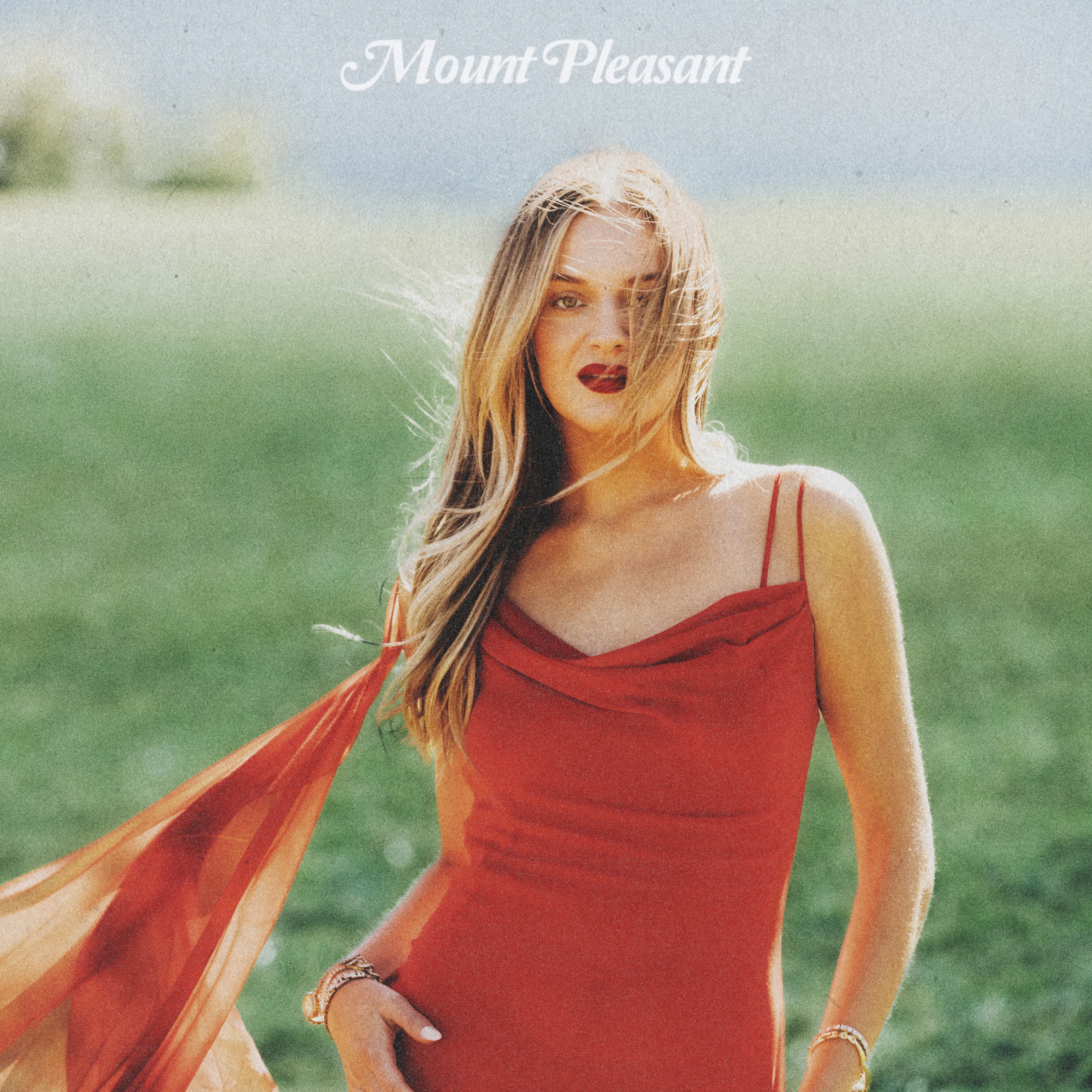 Mount Pleasant (from The Park)