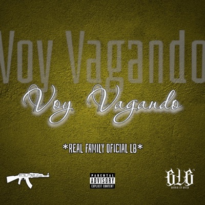Voy Vagando - Single