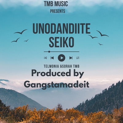 Unodandiite Sei (feat. Telmonia) - Single