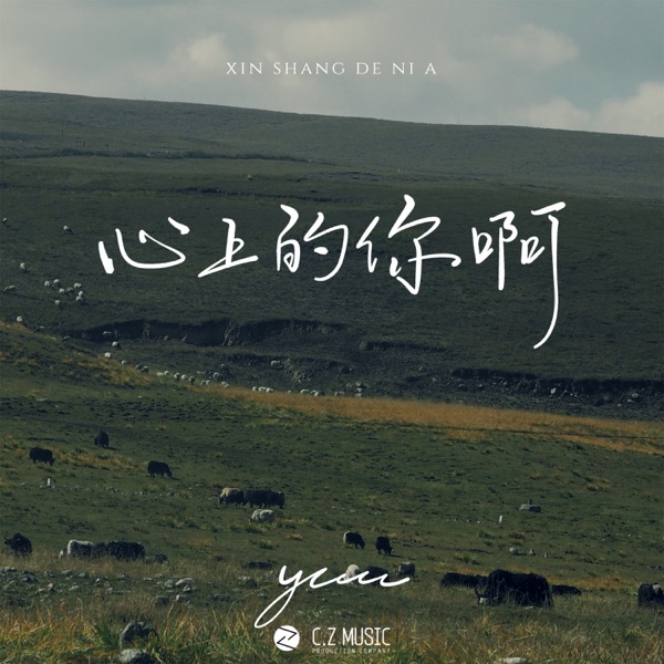 心上的你啊 - Single