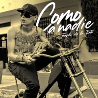 Como a Nadie - Single - Templo De La Tinta