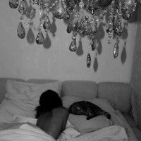 POV - Single - GALILsans30