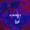 Acrobat - Single