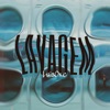 Lavagem - Single