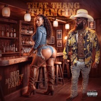 That Thang Thangin - Single - Big Money Fame