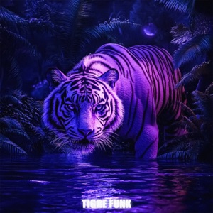 TIGRE FUNK - EP