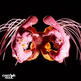 With You Spartaque & As Ide