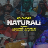 Naturali (feat. Steelo Flow, SteveVibezz, JMP La Mente & Ice Tamarez) - Single - KC Chopz
