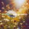 Why so Shy Susi - Mona Lisa Heartfelt lyrics