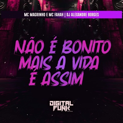 Não É Bonito Mais a Vida É Assim - Single