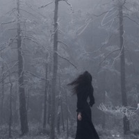 at the function throwing up (feat. VERIXYL) - Single - Lil Ricecooker