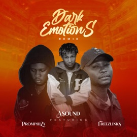 Dark Emotions (Remix) [feat. Promphizy & Freezlinks] Asound