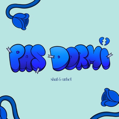 Pas Dormi (feat. SKUL & DU HAUT) - Single
