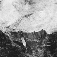 Giving Tree - Single - Cecily