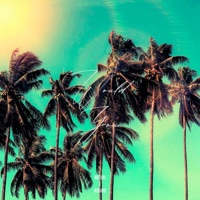 Would You (feat. Krazy Kiebii) - Single - thevillain267