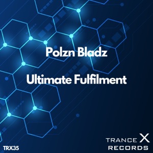 Ultimate Fulfilment - Single
