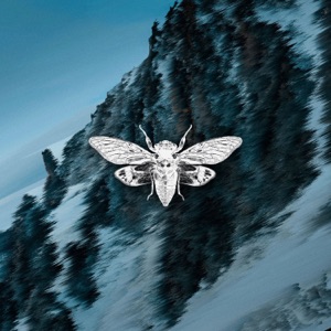Xspy - Single