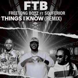 Things I lnow (feat. Souferior) [Remix] FREETONG BOYZ