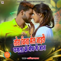 Tora Bina Bhel Jai Chhai Pagla Ke Bhesh Ge Jaan - Single - Anil Yadav