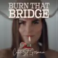 Burn that Bridge