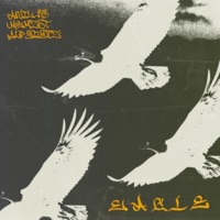 EAGLE - Single - memzst, Anıl K.Y & ALP YILDIZ