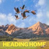 Heading Home