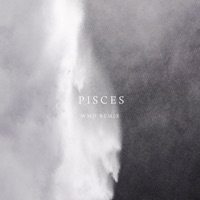 Pisces (WMD Remix) - Single - pianika & WMD