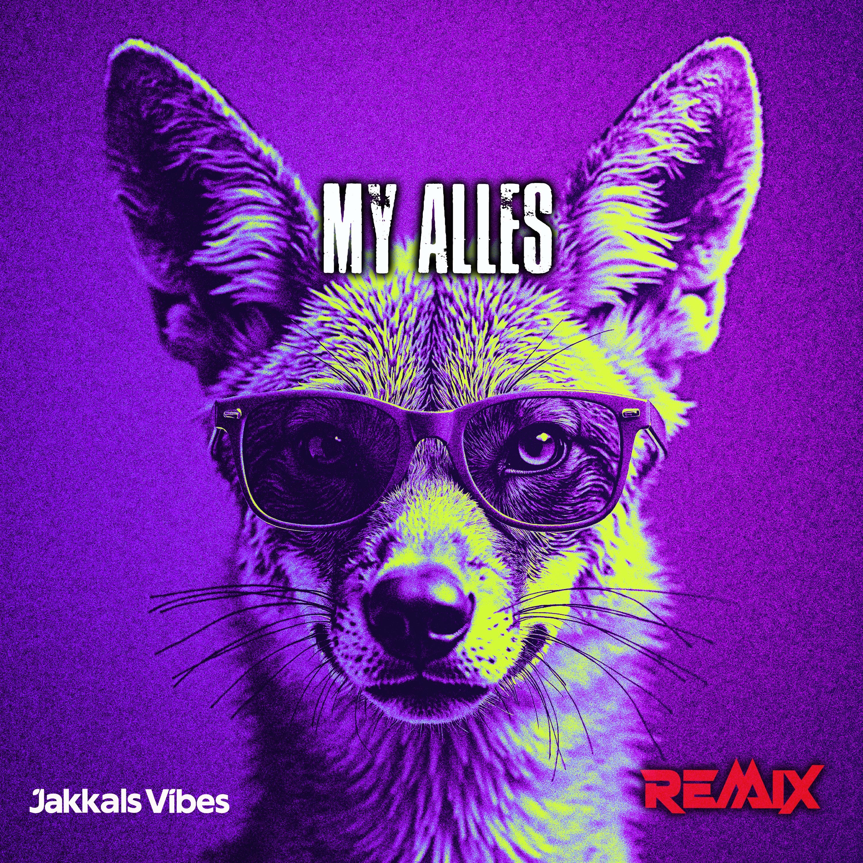 My Alles (Remix Version) - Single