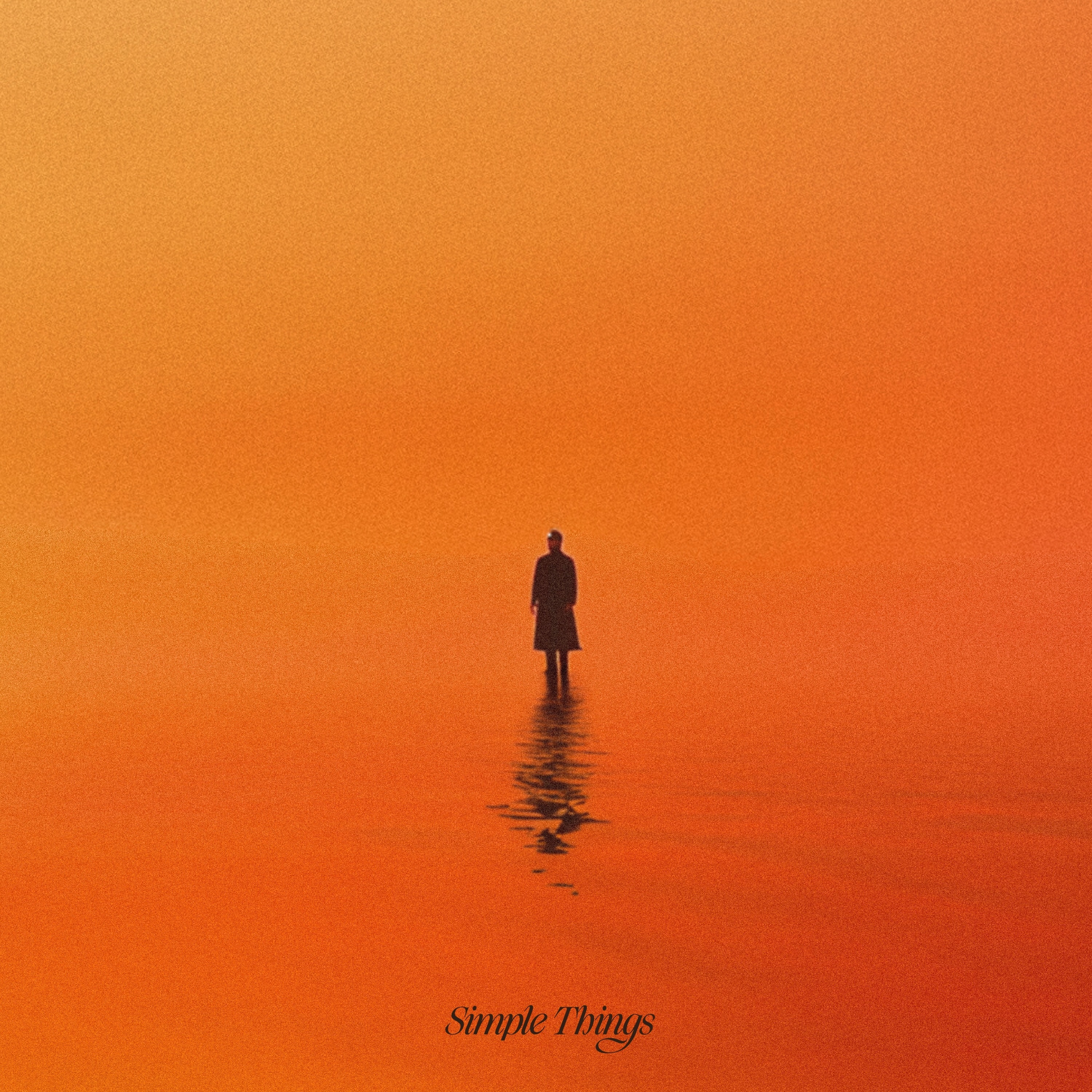 Simple Things - Single