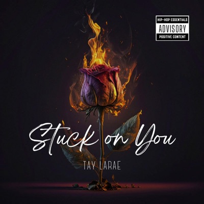 Stuck On You - Single