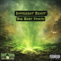 Different Beast - Single - Big Baby Smash
