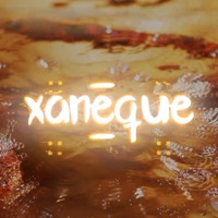 XANEQUE - Single - Nassim