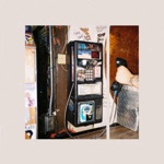 Ivory Daze - No Service