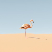 Flamingopolis - Single - Kerosino