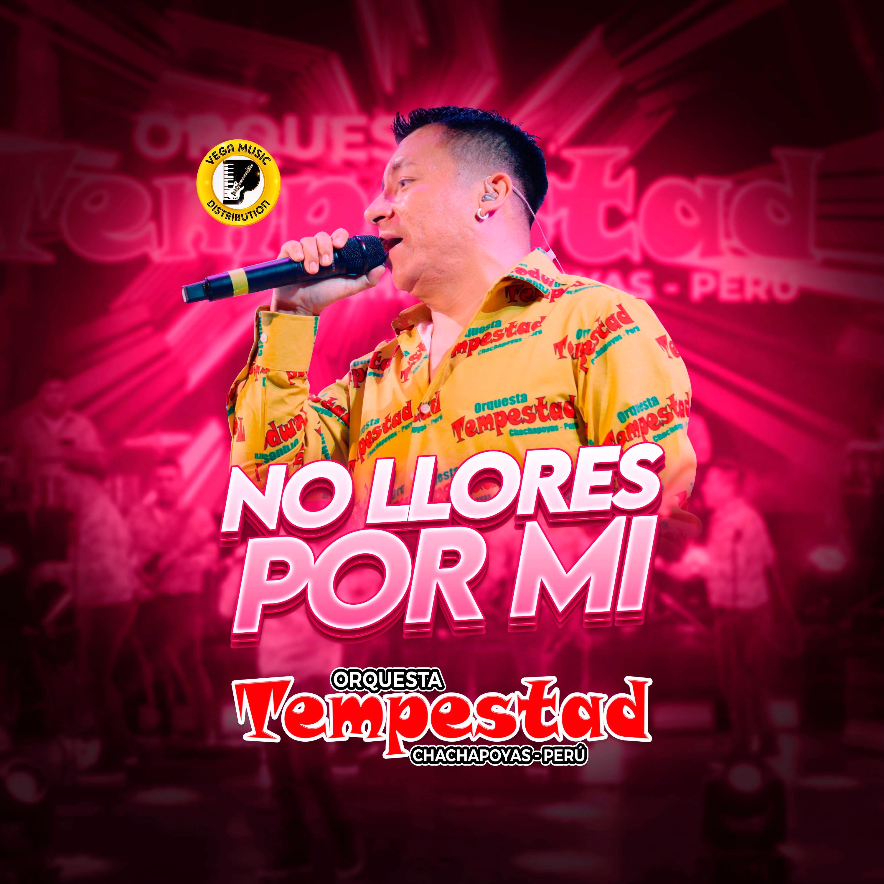 No Llores Por Mi (Concierto En Vivo) - Single