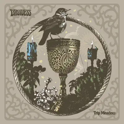 Escucha Trip Meadow de Druidess.