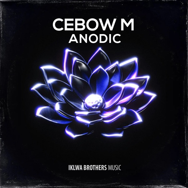 Anodic - Single