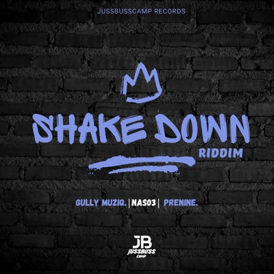 Shake Down Riddim - Single