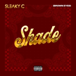 Shade (brown eyes) Sleaky C