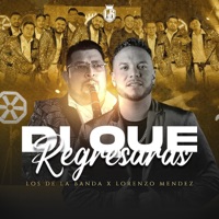Di Que Regresaras - Single - Los de la Banda & Lorenzo Mendez