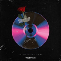 SYT E TU - Single - Cricket, Nevu & YA NINA