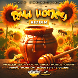 Raw Honey Riddim - EP - Various Artists Cover Art