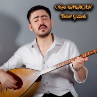 Teber Güzeli - Single - Okan Babacan