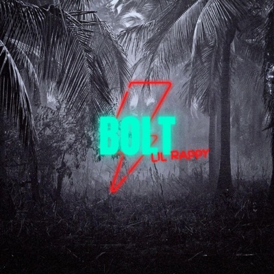 Bolt