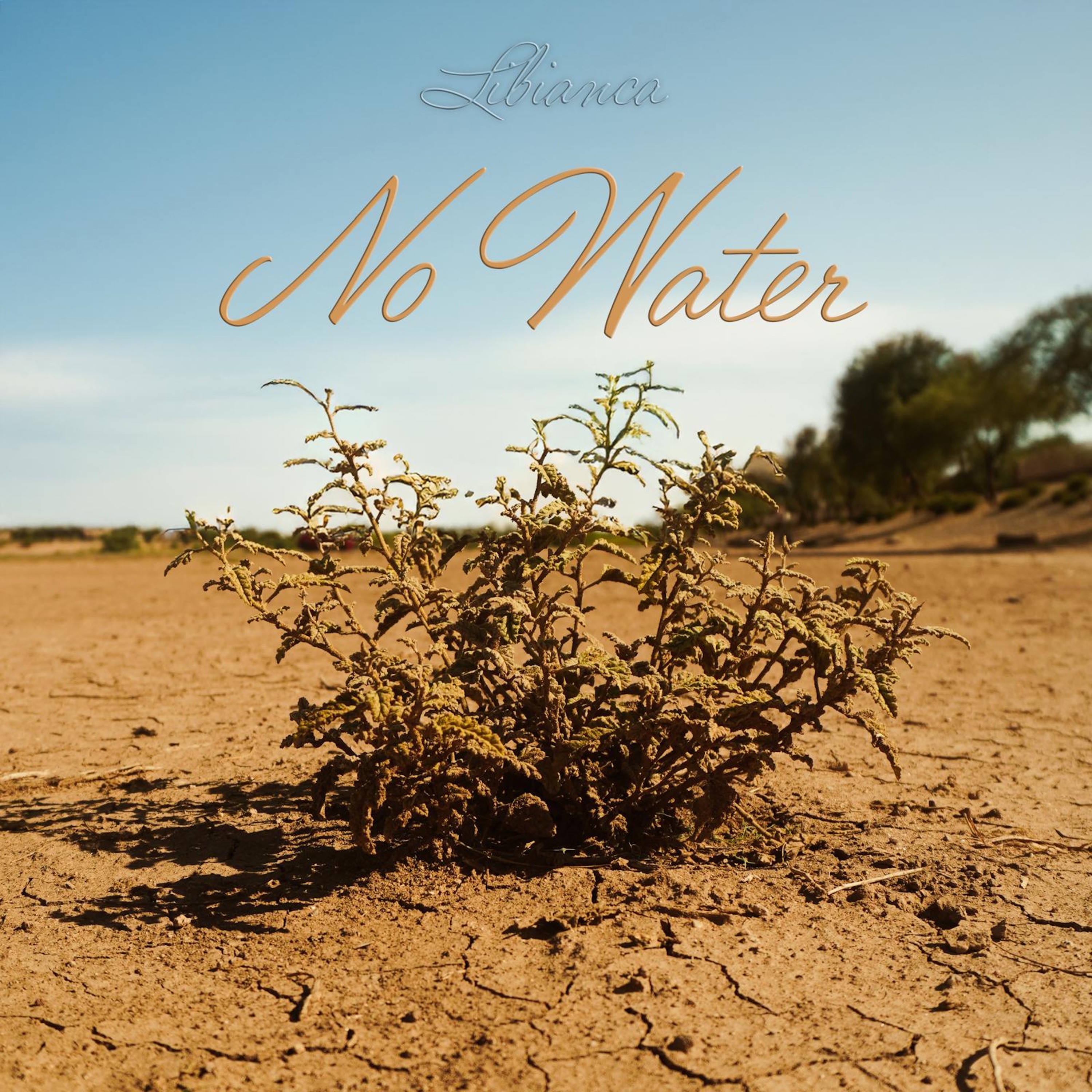 No Water - Single