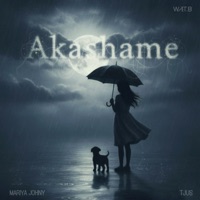 AKASHAME - Single - Mariya Johny & TJUS