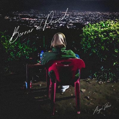 Borrar El Pasado - Single