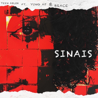 SINAIS (feat. yung AP & Brace) - Single
