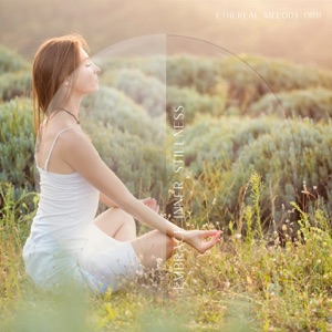 Embrace Inner Stillness